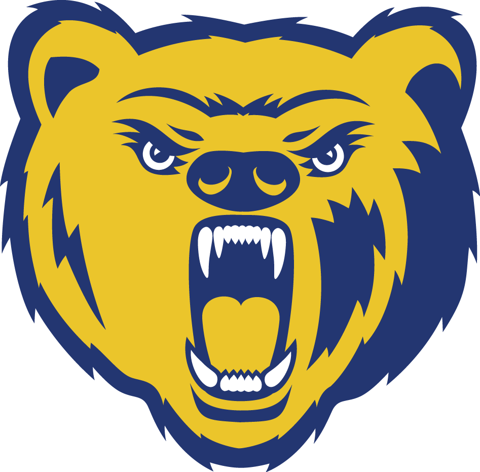 Northern Colorado Bears 2004-2009 Secondary Logo 02 iron on paper